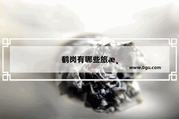 鹤岗有哪些旅游景点？可以推荐吗