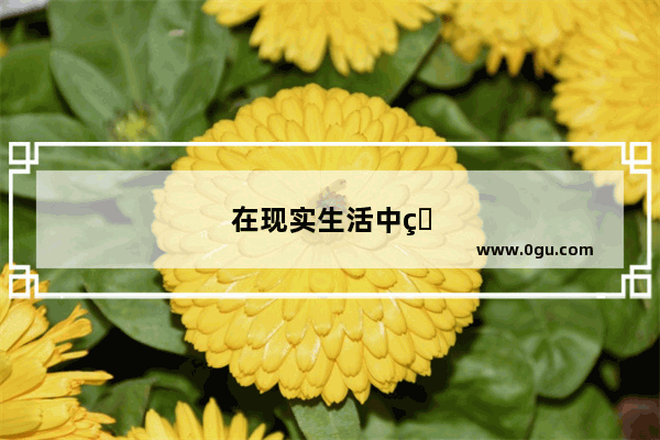 在现实生活中电子商务包括那些