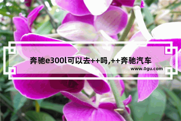 奔驰e300l可以去++吗,++奔驰汽车销量排行榜