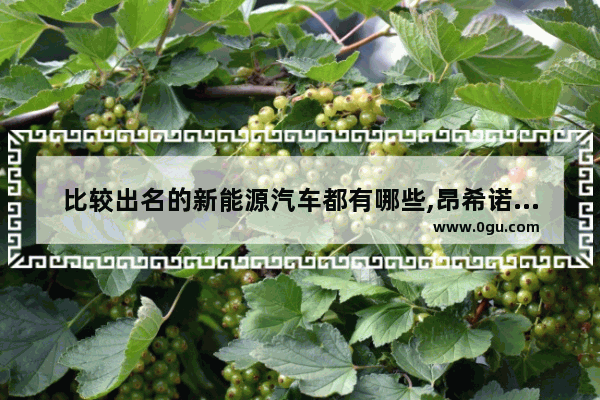 比较出名的新能源汽车都有哪些,昂希诺电动汽车销量怎么样