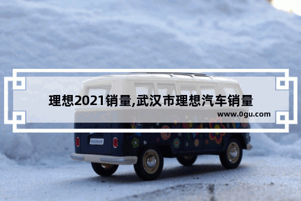 理想2021销量,武汉市理想汽车销量