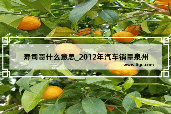 寿司哥什么意思_2012年汽车销量泉州