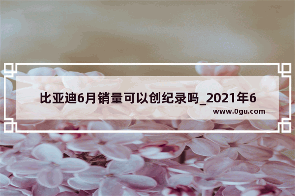 比亚迪6月销量可以创纪录吗_2021年6月豪华suv销量排行榜完整