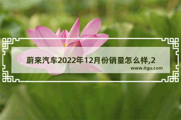 蔚来汽车2022年12月份销量怎么样,2022地区上半年汽车销量