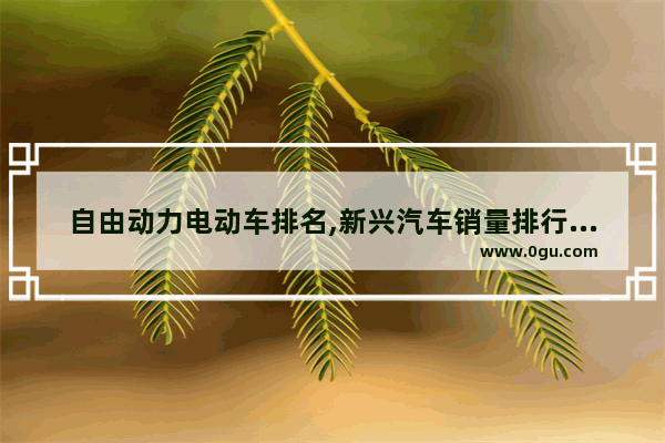 自由动力电动车排名,新兴汽车销量排行榜前十名