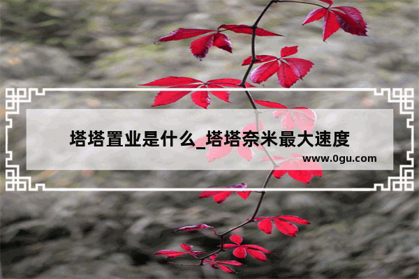 塔塔置业是什么_塔塔奈米最大速度
