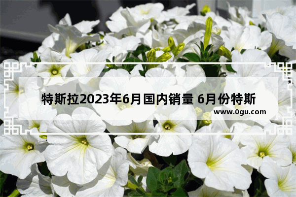 特斯拉2023年6月国内销量 6月份特斯拉汽车销量