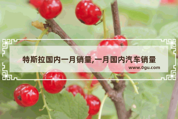 特斯拉国内一月销量,一月国内汽车销量