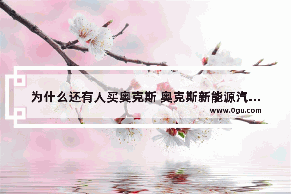 为什么还有人买奥克斯 奥克斯新能源汽车销量