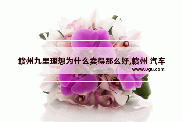 赣州九里理想为什么卖得那么好,赣州 汽车销量