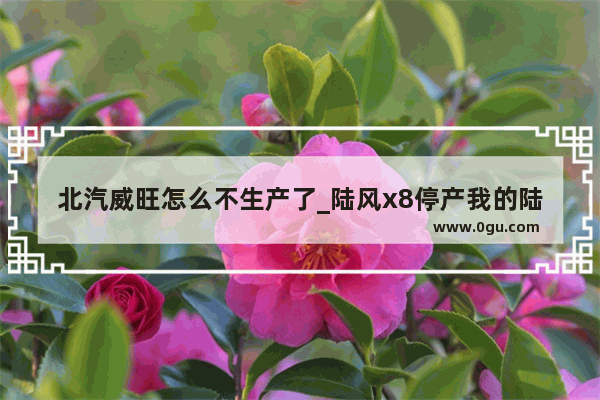 北汽威旺怎么不生产了_陆风x8停产我的陆风x8怎么办