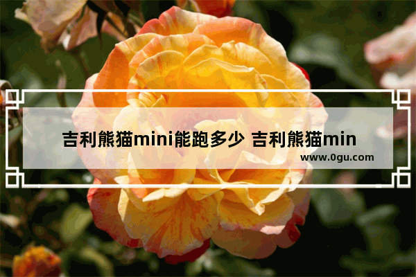 吉利熊猫mini能跑多少 吉利熊猫mini电动汽车销量