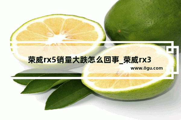荣威rx5销量大跌怎么回事_荣威rx3 pro手动变速箱是哪个厂的