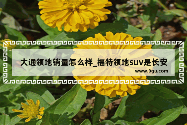 大通领地销量怎么样_福特领地suv是长安的还是江铃的