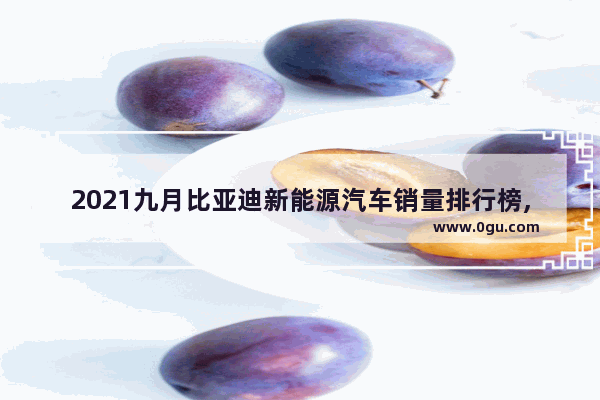 2021九月比亚迪新能源汽车销量排行榜,新能源9月汽车销量