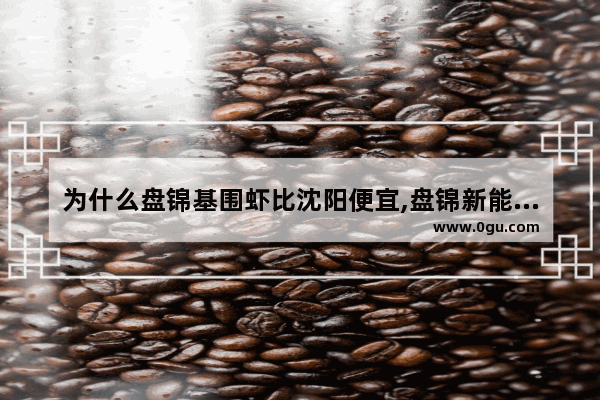 为什么盘锦基围虾比沈阳便宜,盘锦新能源汽车销量