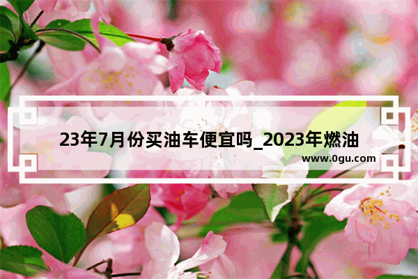 23年7月份买油车便宜吗_2023年燃油车还值得买吗