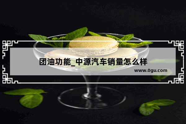 团油功能_中源汽车销量怎么样