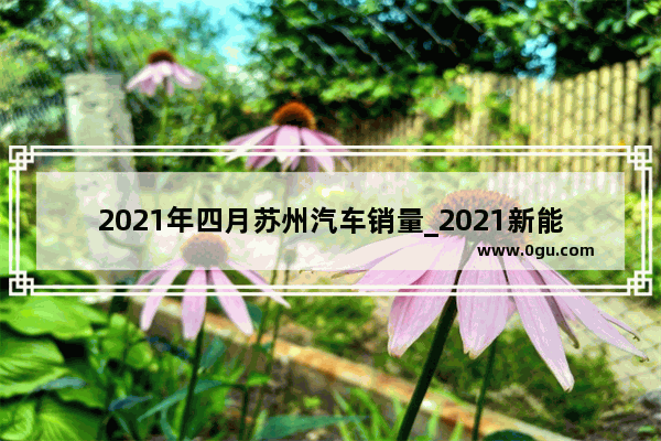 2021年四月苏州汽车销量_2021新能源客车销量排名
