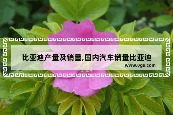 比亚迪产量及销量,国内汽车销量比亚迪