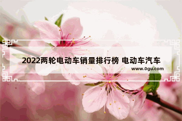 2022两轮电动车销量排行榜 电动车汽车销量2022