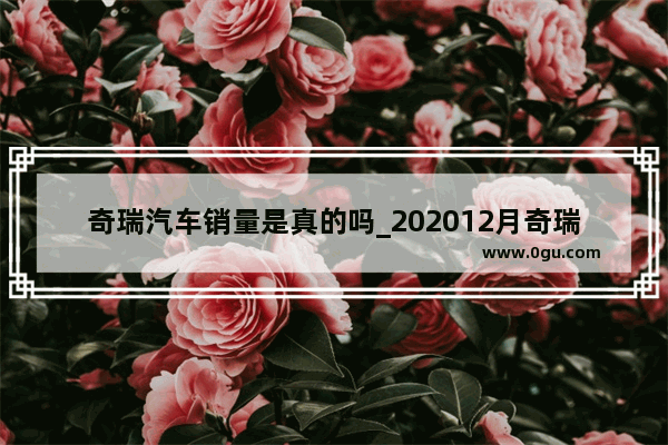 奇瑞汽车销量是真的吗_202012月奇瑞汽车销量