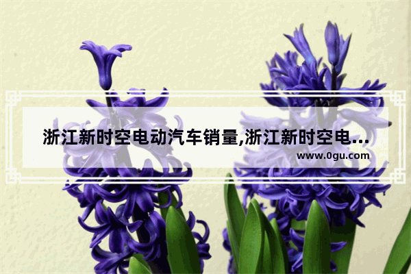 浙江新时空电动汽车销量,浙江新时空电动汽车销量