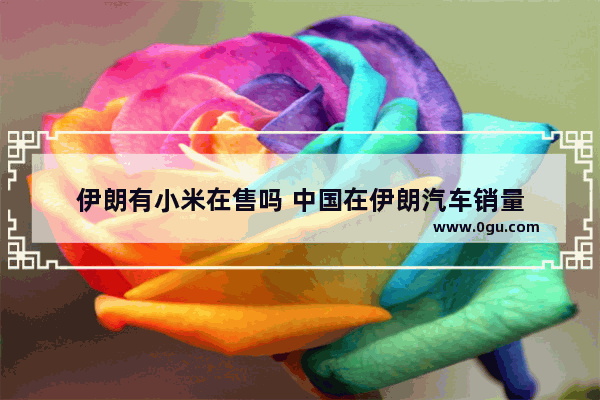 伊朗有小米在售吗 中国在伊朗汽车销量