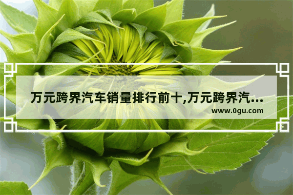 万元跨界汽车销量排行前十,万元跨界汽车销量排行前十