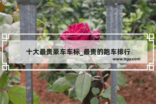 十大最贵豪车车标_最贵的跑车排行