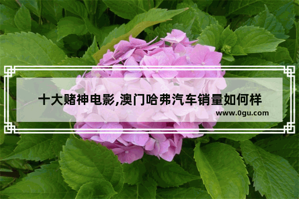 十大赌神电影,澳门哈弗汽车销量如何样