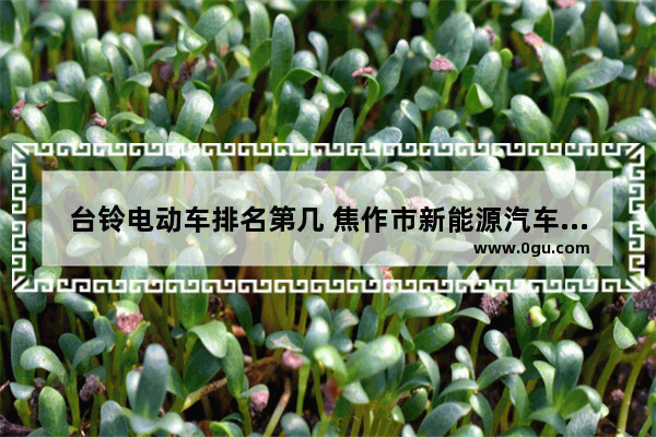 台铃电动车排名第几 焦作市新能源汽车销量如何