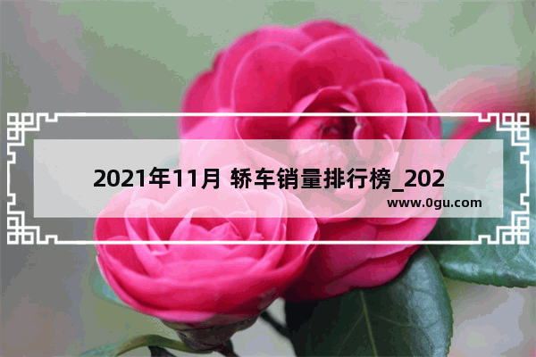 2021年11月 轿车销量排行榜_2021年1月至11月汽车销量排行榜
