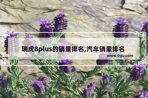 瑞虎8plus的销量排名,汽车销量排名 瑞虎8