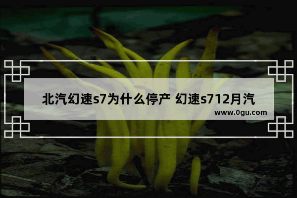 北汽幻速s7为什么停产 幻速s712月汽车销量