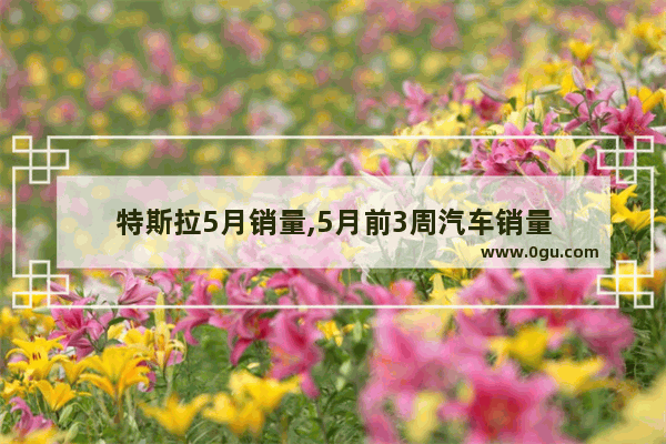 特斯拉5月销量,5月前3周汽车销量