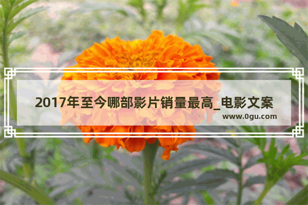 2017年至今哪部影片销量最高_电影文案素材怎么找