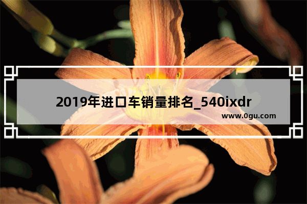 2019年进口车销量排名_540ixdrive国内能买到吗