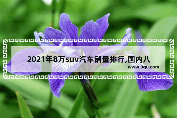 2021年8万suv汽车销量排行,国内八万元汽车销量排行
