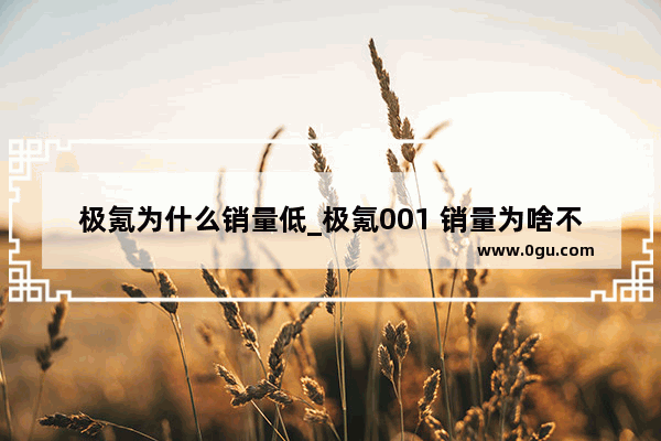 极氪为什么销量低_极氪001 销量为啥不高