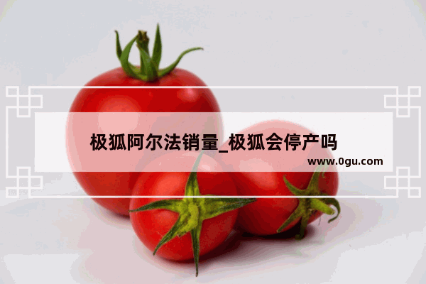 极狐阿尔法销量_极狐会停产吗