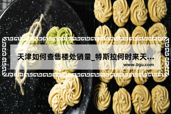 天津如何查售楼处销量_特斯拉何时来天津建厂
