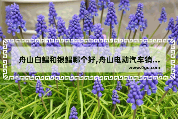 舟山白鲳和银鲳哪个好,舟山电动汽车销量排行榜