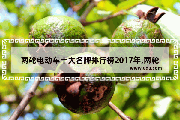 两轮电动车十大名牌排行榜2017年,两轮电动汽车销量排名前十