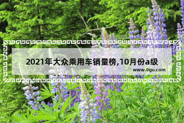 2021年大众乘用车销量榜,10月份a级车汽车销量排名