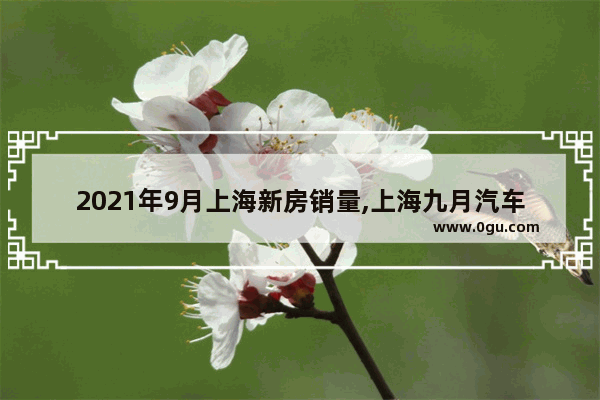 2021年9月上海新房销量,上海九月汽车销量排名