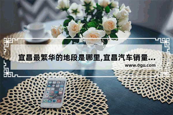 宜昌最繁华的地段是哪里,宜昌汽车销量排行榜前十名