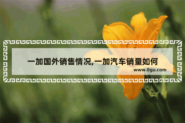 一加国外销售情况,一加汽车销量如何