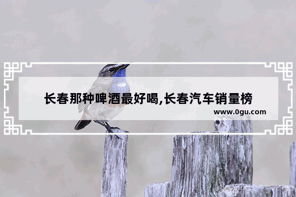 长春那种啤酒最好喝,长春汽车销量榜