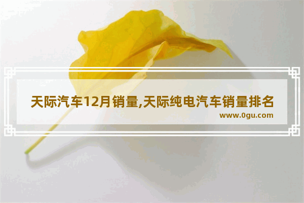 天际汽车12月销量,天际纯电汽车销量排名榜